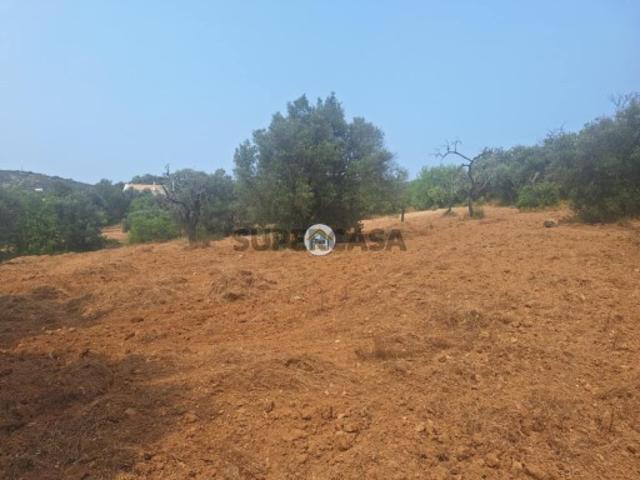 Terreno venda em São Brás De Alportel, Faro