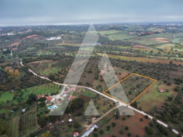 Terreno venda em Brogueira