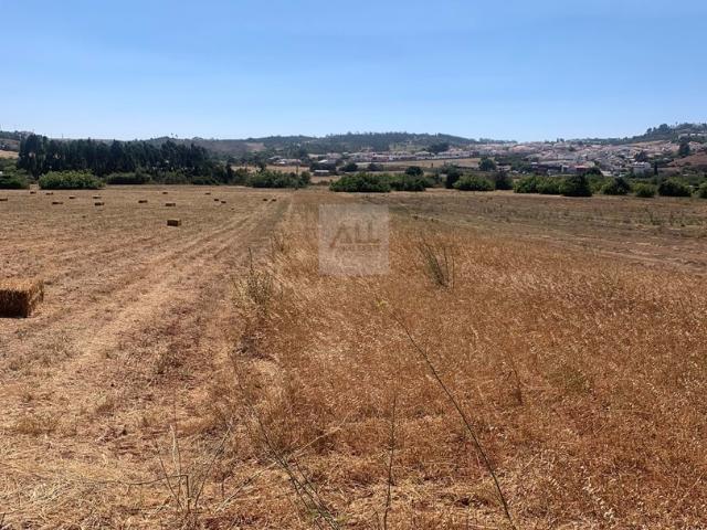 Terreno venda em Vila Do Bispo, Faro