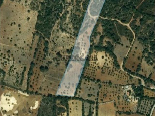 Terreno venda em São Brás De Alportel, Faro