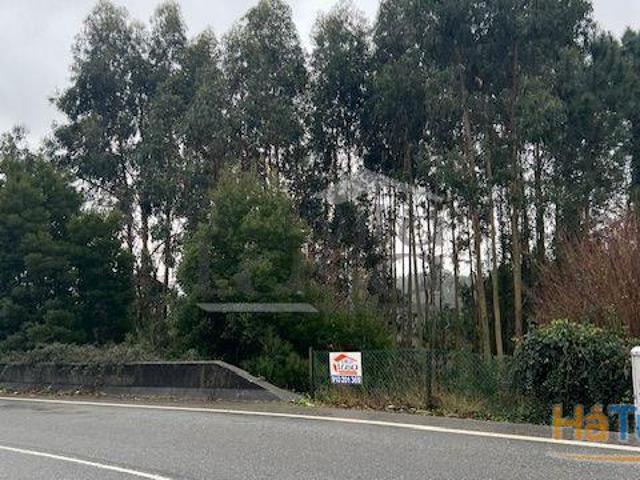 Terreno venda em Santa Maria Da Feira, Aveiro
