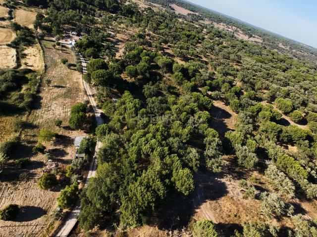 Terreno venda em Montijo, Setúbal