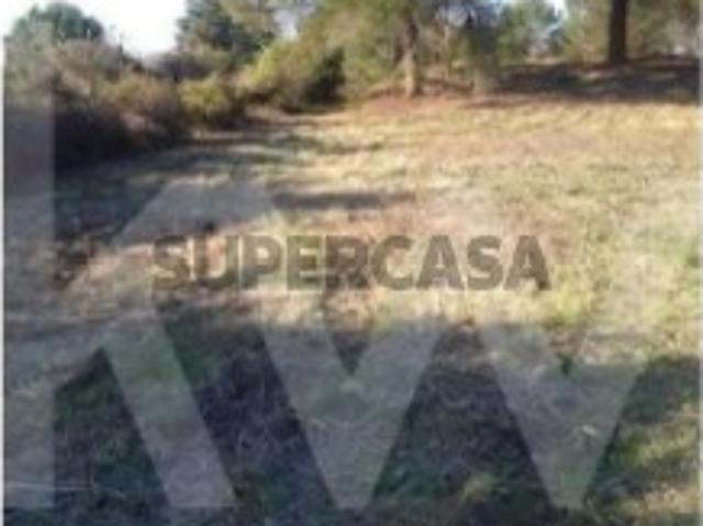 Terreno venda em Arrôtas, Cantanhede