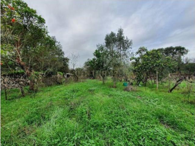 Terreno venda em Gonçalo, Guarda