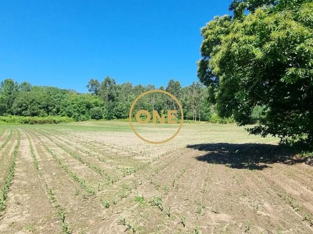 Terreno venda em Frinjos, Santo Tirso