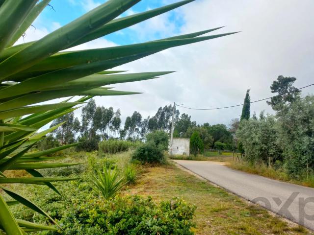 Terreno venda em Torres Novas, Santarém