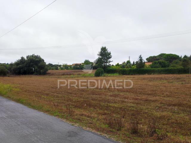Terreno venda em Boavista dos Pinheiros, Odemira