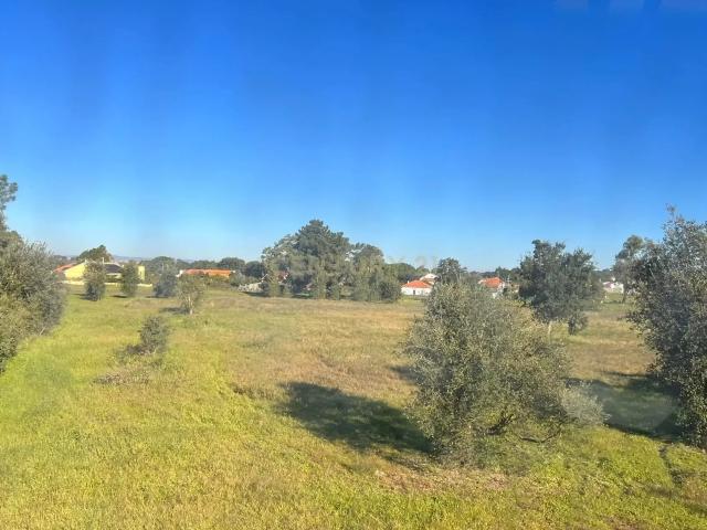 Terreno venda em Castelo Branco