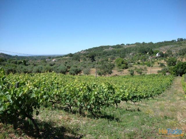 Terreno venda em Castelo De Vide, Portalegre
