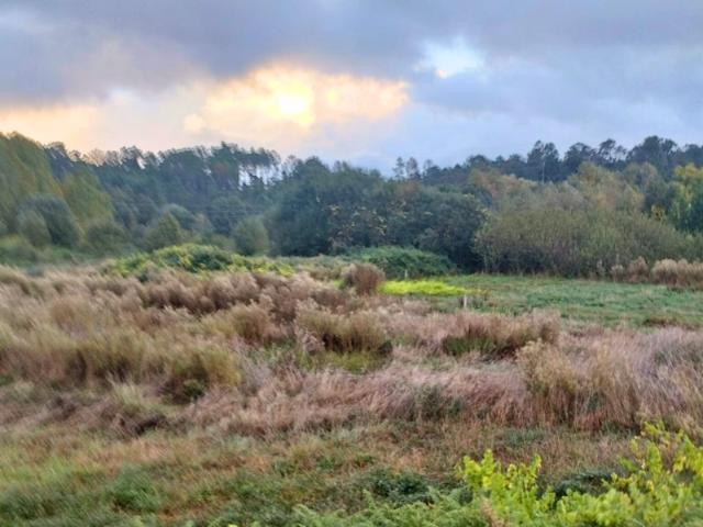 Terreno venda em Viseu