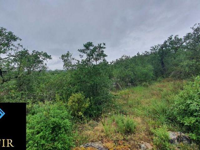 Terreno venda em Rego Da Murta, Santarém