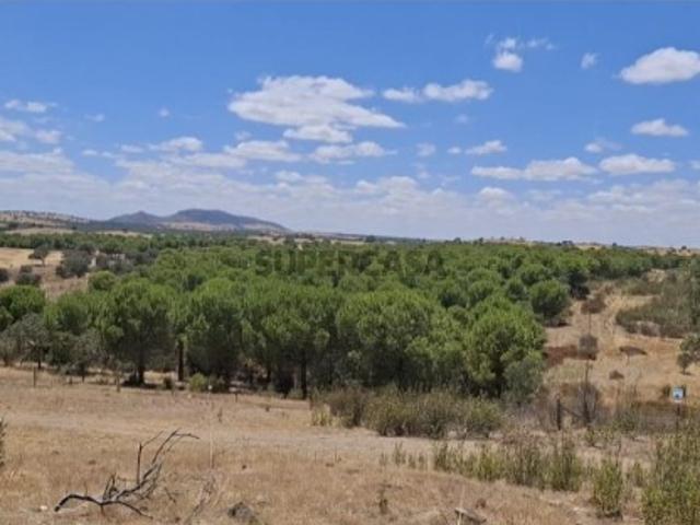 Terreno venda em Beja