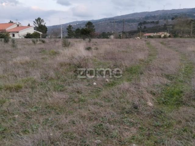 Terreno venda em Guarda, Celorico Da Beira