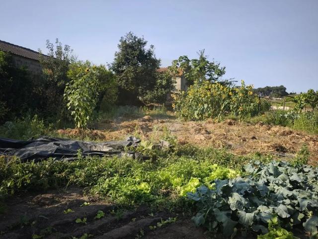 Terreno venda em Arcozelo, Braga
