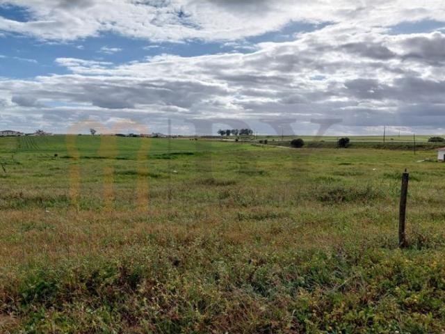 Terreno venda em Entradas, Castro Verde