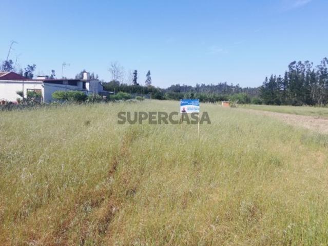 Terreno venda em Sanchequias, Ponte De Vagos