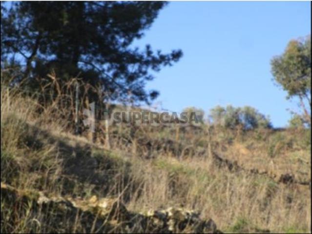 Terreno venda em Nagoselo Do Douro, Viseu