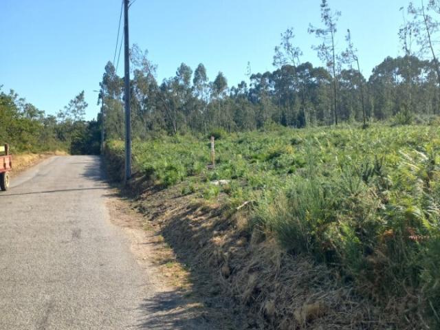 Terreno venda em Arouca, Escariz