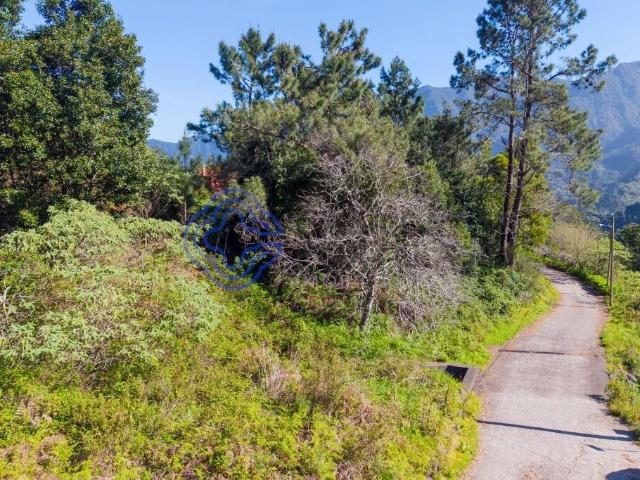 Terreno venda em São Vicente, Ilha Da Madeira