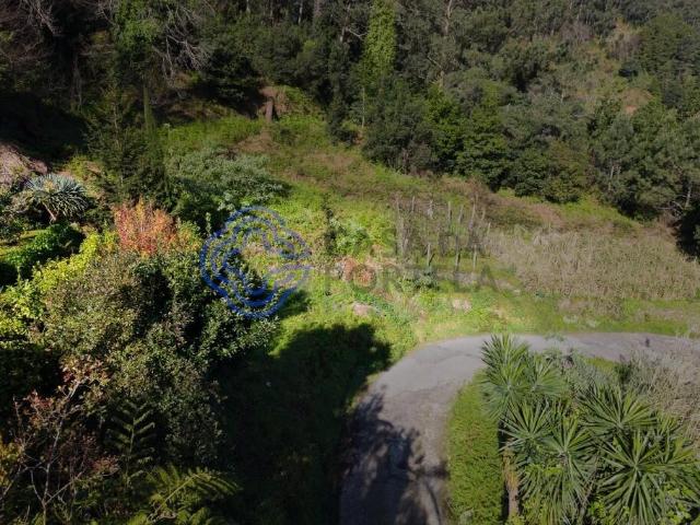 Terreno venda em São Vicente, Ilha Da Madeira