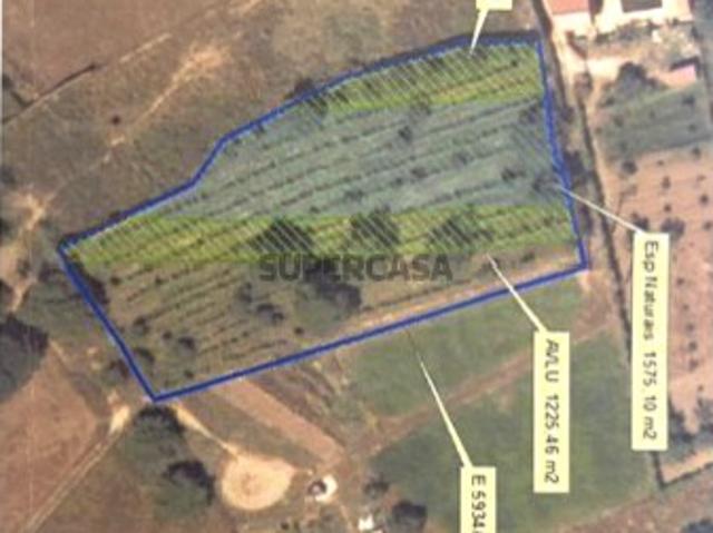 Terreno venda em Palmela, Setúbal