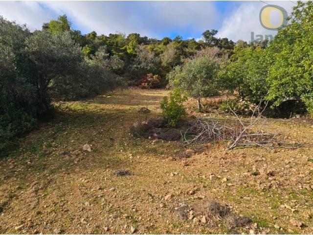 Terreno venda em Faro