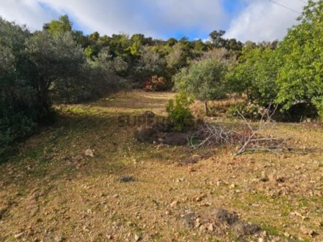 Terreno venda em Faro
