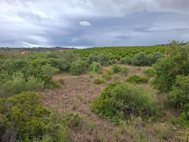Terreno venda em Estômbar, Faro