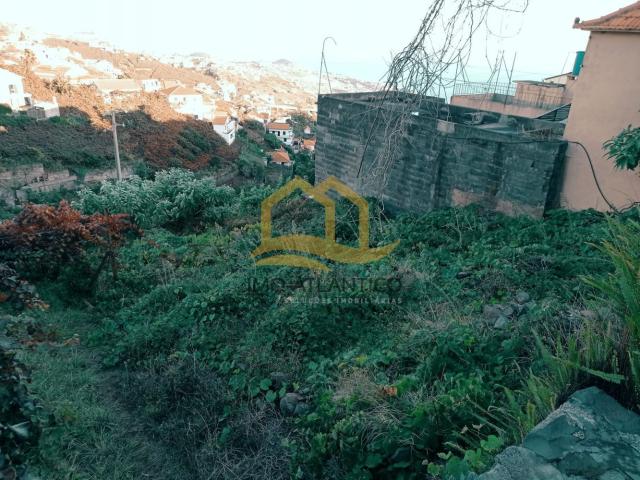 Terreno venda em Marinheira, Câmara de Lobos
