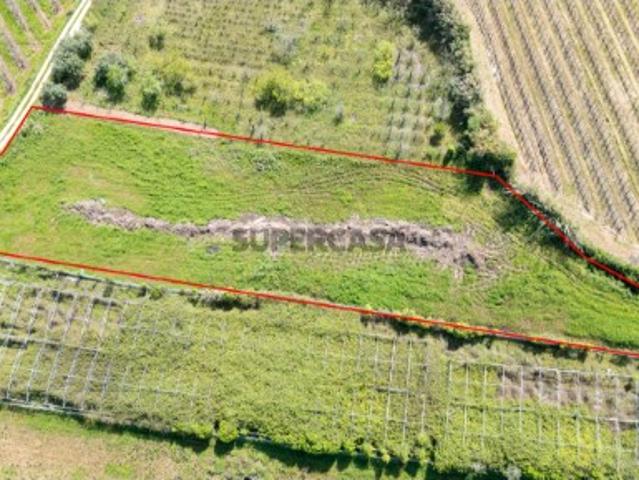 Terreno venda em Cruz das Mós, Alcobaça