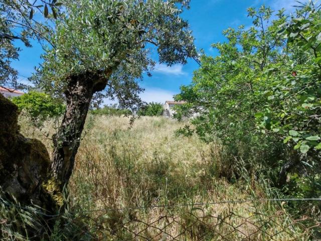 Terreno venda em Tomar, Santarém