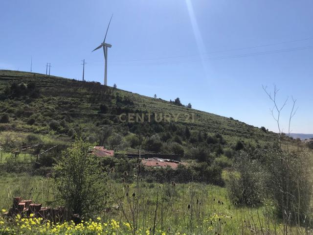 Terreno venda em Ribas de Baixo, Santiago Dos Velhos