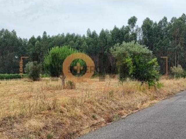 Terreno venda em Almeirim Terreno venda em Almeirim