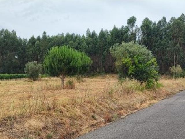 Terreno venda em Almeirim, Santarém