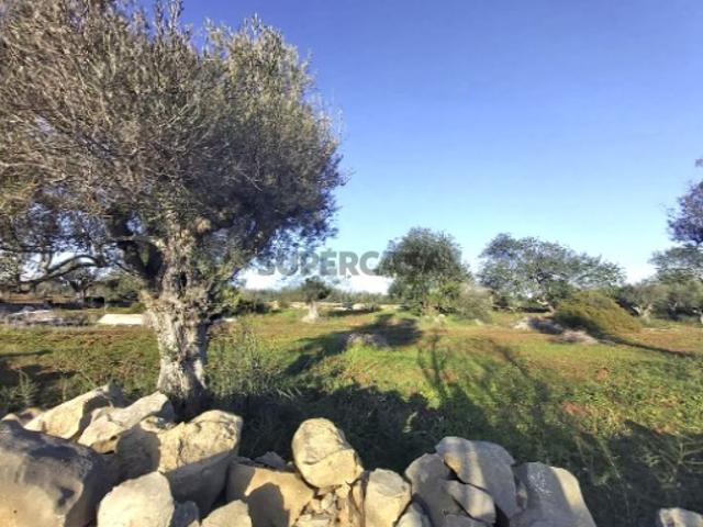 Terreno venda em Vale Serves, Albufeira