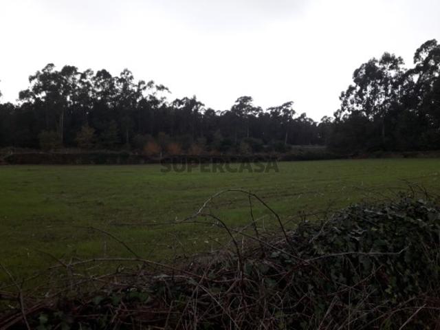 Terreno venda em Esposende Terreno venda em Esposende