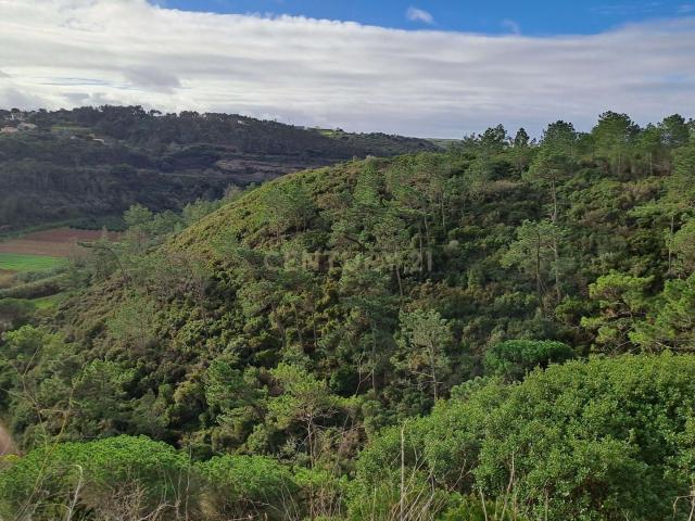 Terreno venda em Fonte Boa da Brincosa, Mafra