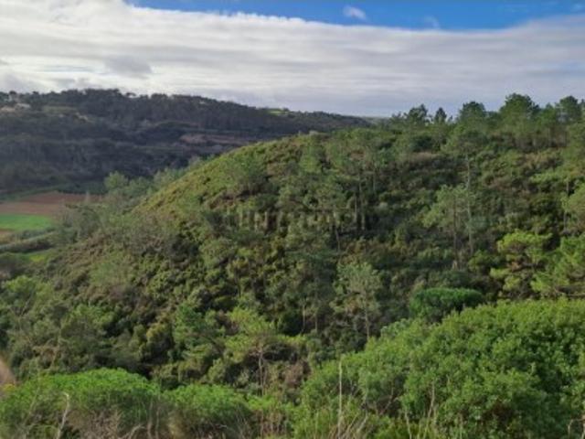 Terreno venda em Fonte Boa da Brincosa, Mafra