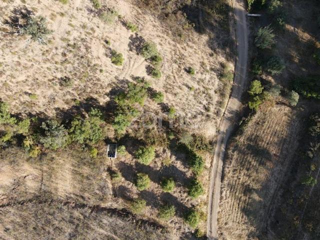 Terreno venda em São Bartolomeu De Messines, Faro