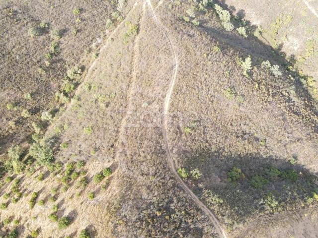 Terreno venda em São Bartolomeu De Messines, Faro