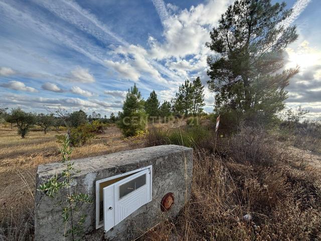Terreno venda em Castelo Branco