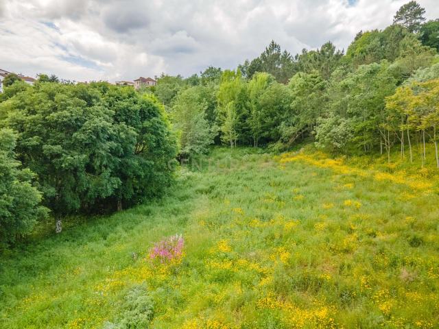 Terreno venda em Marco De Canaveses, Porto
