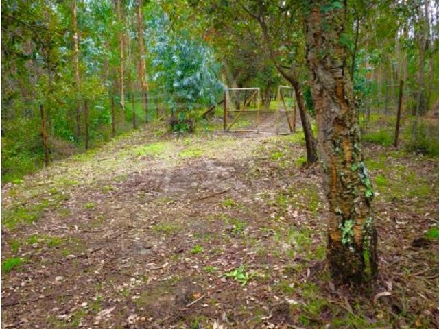 Terreno venda em Nossa Senhora do Pópulo, Coto e São Gregório, Caldas da Rainha