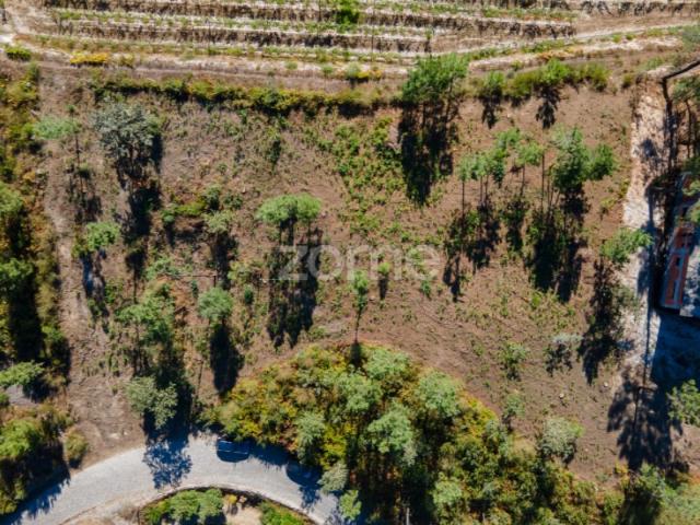 Terreno venda em Bairro Cancela de Abreu, Amarante