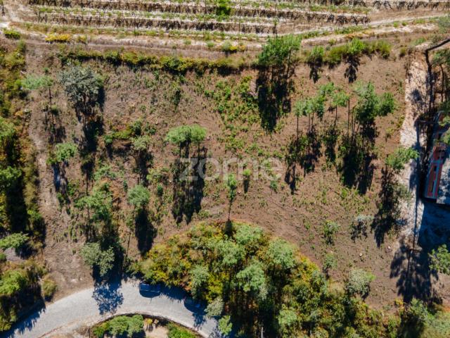 Terreno venda em Amarante, Porto