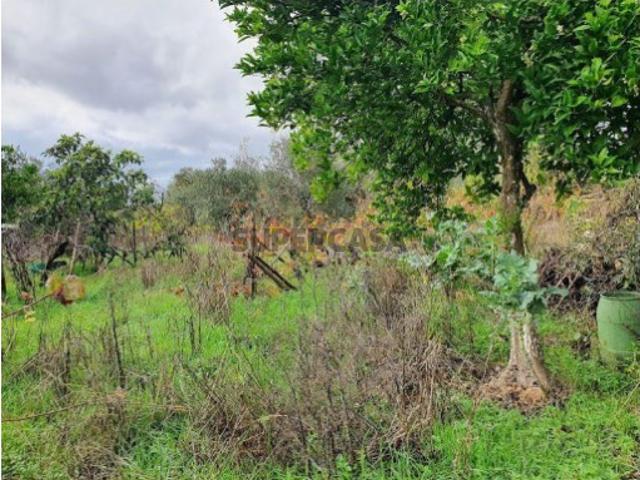 Terreno venda em Guarda