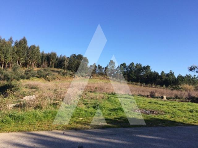 Terreno venda em Anadia, Aveiro