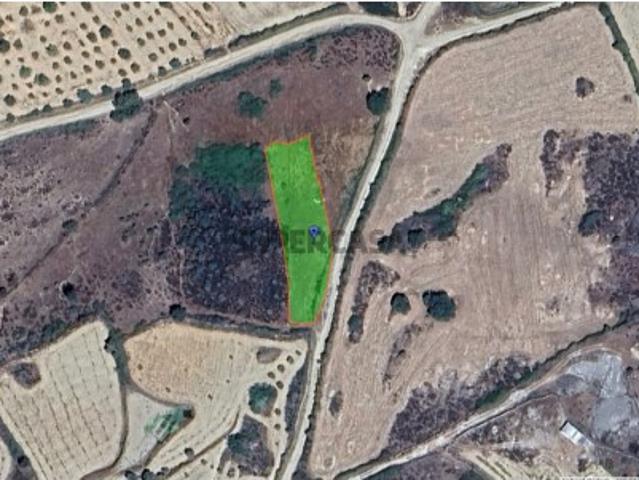 Terreno venda em Guarda, Almeida