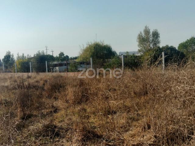 Terreno venda em Poceirão e Marateca, Palmela
