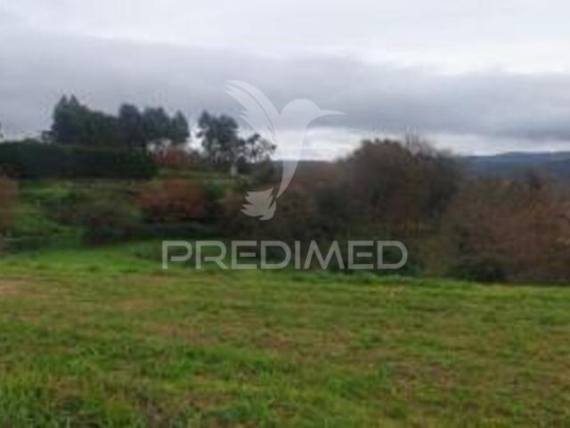 Terreno venda em Paredes De Coura, Viana Do Castelo